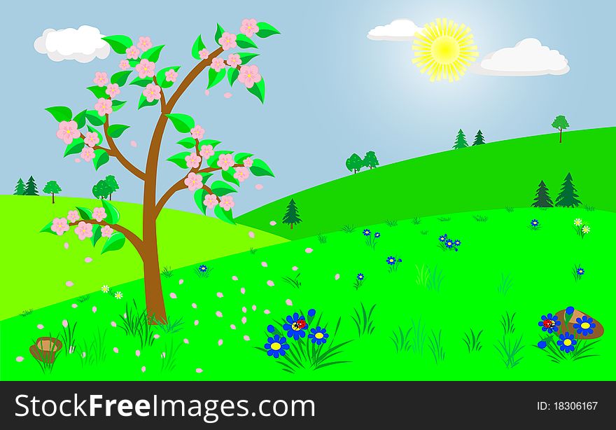 Spring landscape with the blooming tree. Spring landscape with the blooming tree.