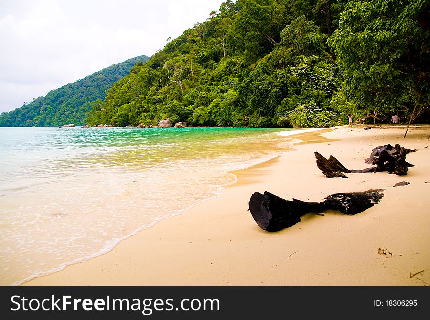 Wood on beach in Thailand