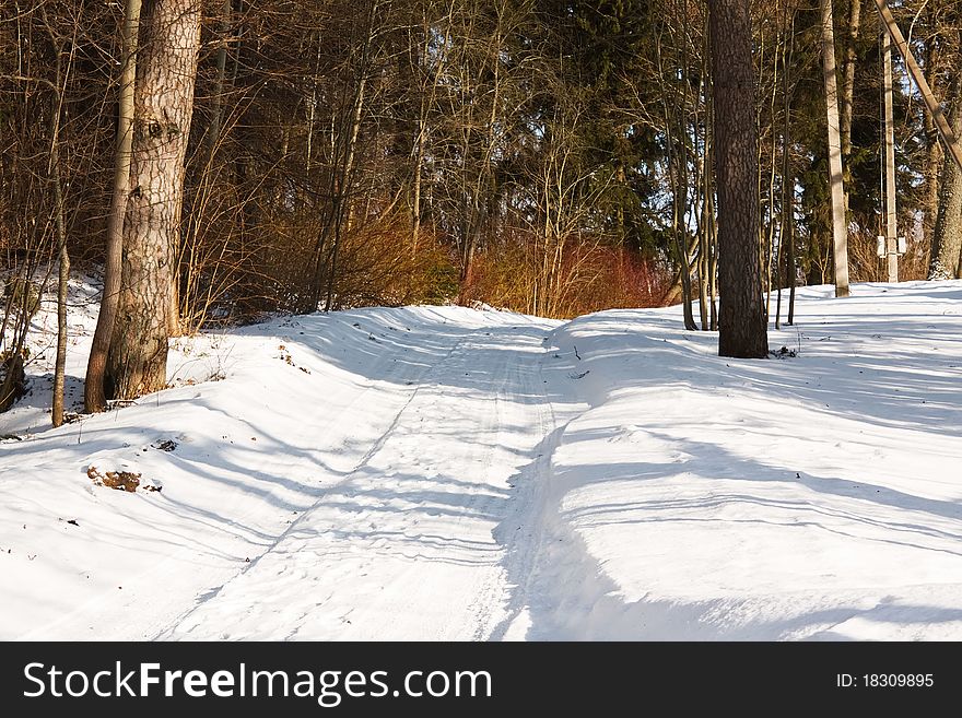 Winter Landscape, Park Lane