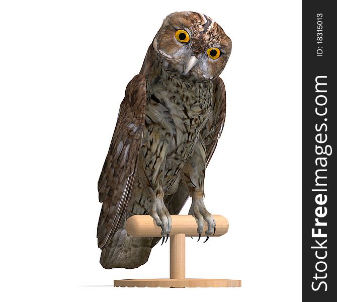 Tawny Owl Bird. 3D rendering with clipping path and shadow over white
