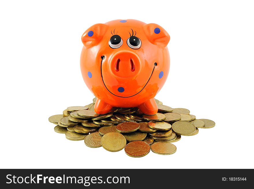 Piggy Bank on the money isolated