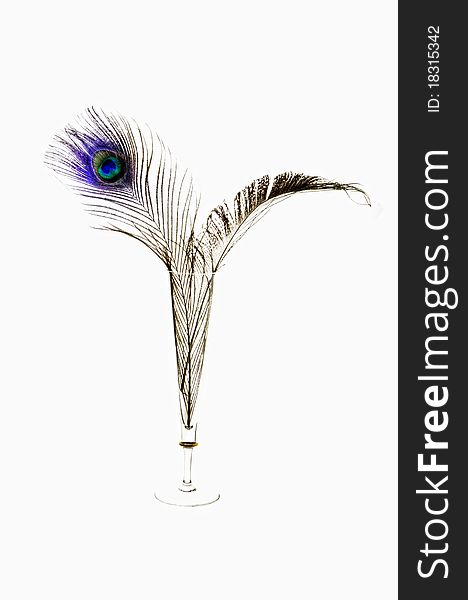 Peacock feather in a champagne glass. Peacock feather in a champagne glass