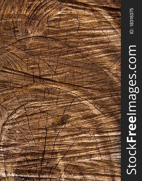 Cut brown wood texture in vertical shot. Cut brown wood texture in vertical shot
