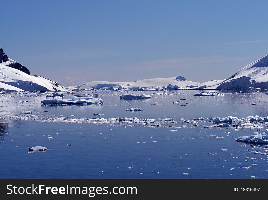 Icebergs In Antarctica