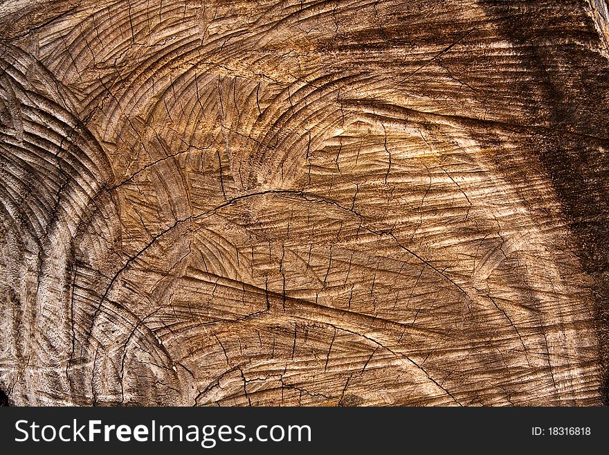 Cut wood texture