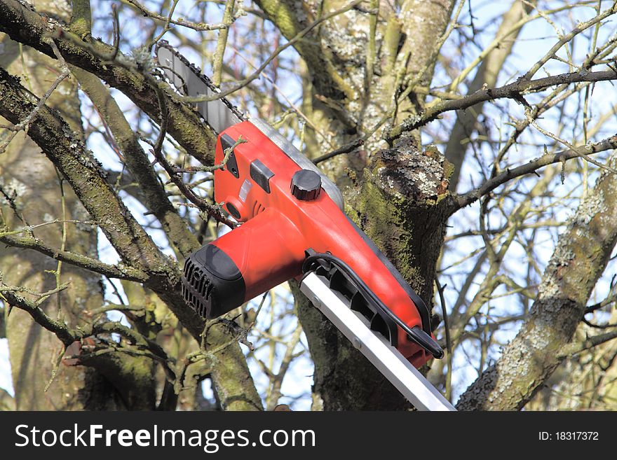 Work in a garden by means of a compact power saw with the put forward holder. The compact power saw successfully cuts off average and large branches on distance to 2 metres. Work in a garden by means of a compact power saw with the put forward holder. The compact power saw successfully cuts off average and large branches on distance to 2 metres.