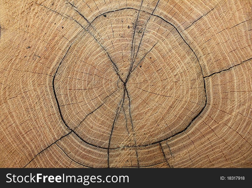 Stock Photo of Wooden texture