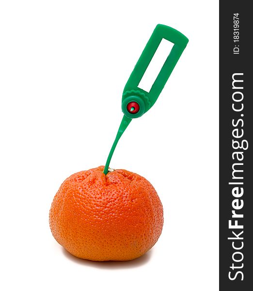 Tangerine Transportation