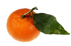Ripe Tangerine Royalty Free Stock Photo Ripe Tangerine Royalty Free Stock Photo