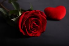 Rose With Heart Royalty Free Stock Images