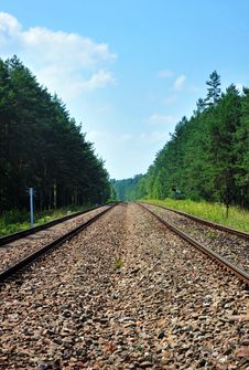 Railroad Tracks Stock Image