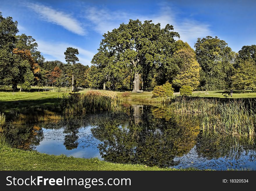 Beautiful detailed reflection of autumn trees in tranquil location with beautiful sky. Beautiful detailed reflection of autumn trees in tranquil location with beautiful sky