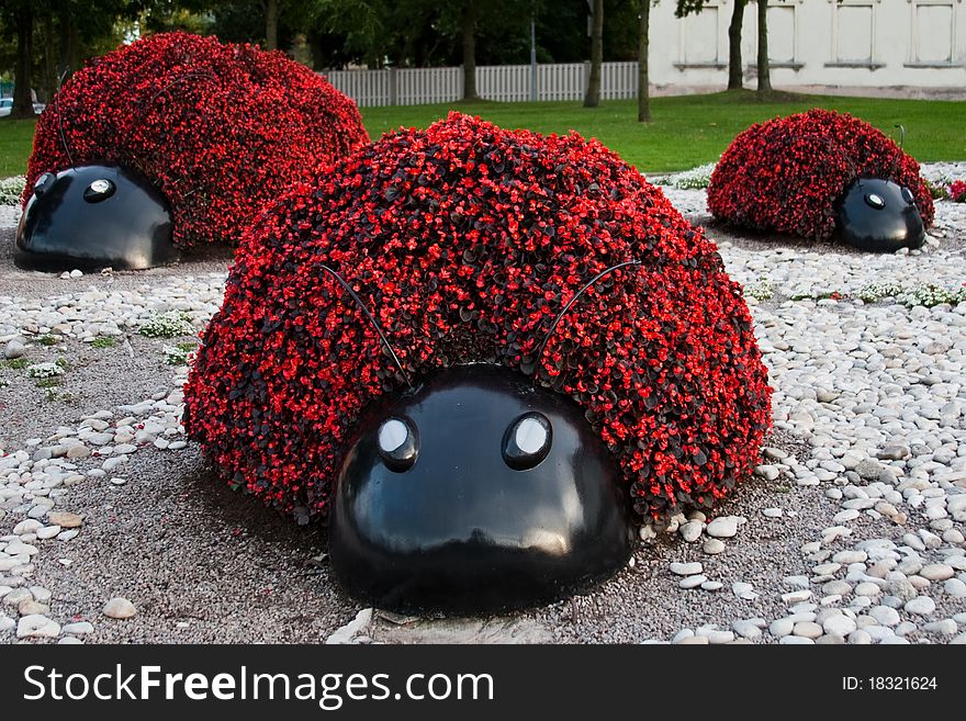 Ladybug made from red flowers. Ladybug made from red flowers