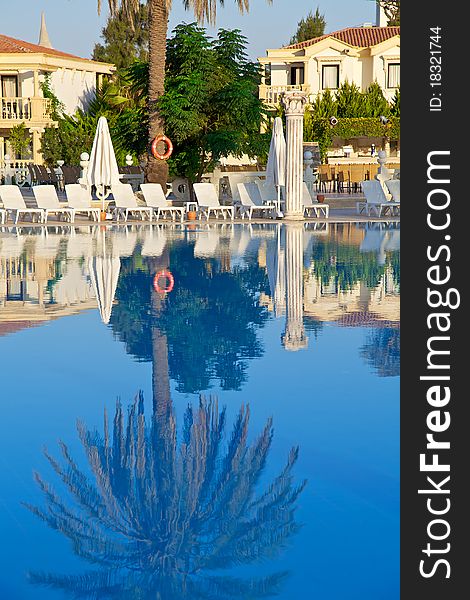 Palm Trees reflecting in the swimming pool