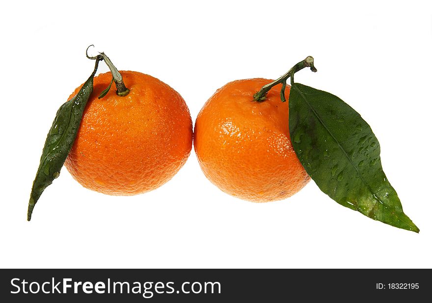 Two ripe tangerines on a white background