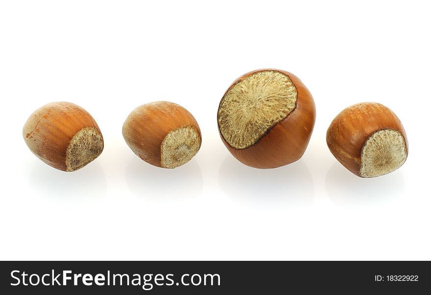 Nuts isolated on the white background. Nuts isolated on the white background