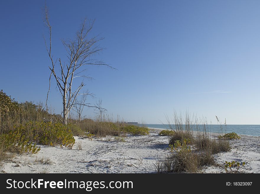 You can step on fine, white sand at Barefoot Beach in south-west-florida .