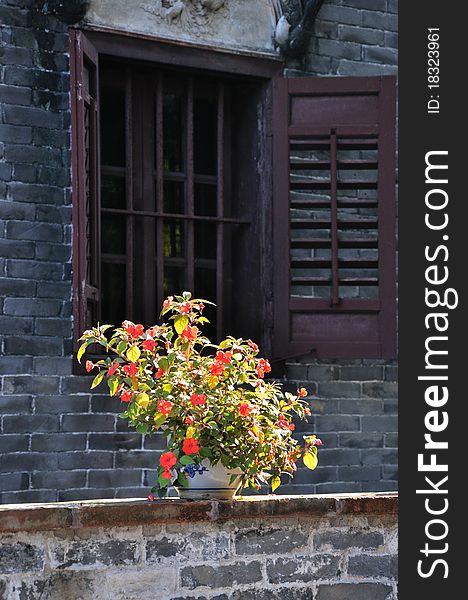 A china rose flower under bright lighting, in front of an old wooden window, which is old and traditional style in countryside of southern china. A china rose flower under bright lighting, in front of an old wooden window, which is old and traditional style in countryside of southern china.