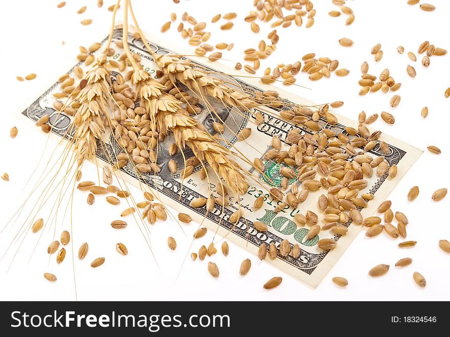 Wheat ears and money on white