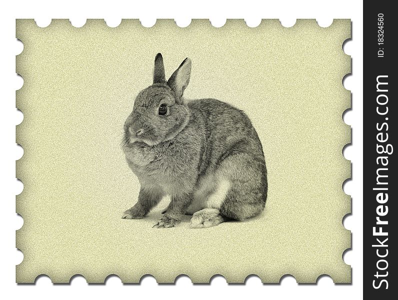 Image Small Rabbit On Old Paper