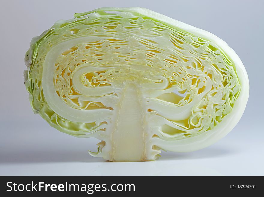 Cutting cabbage isolated on white