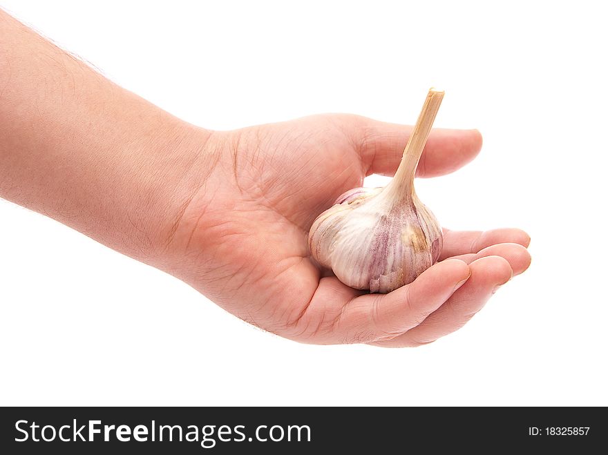 Garlic in hand on white