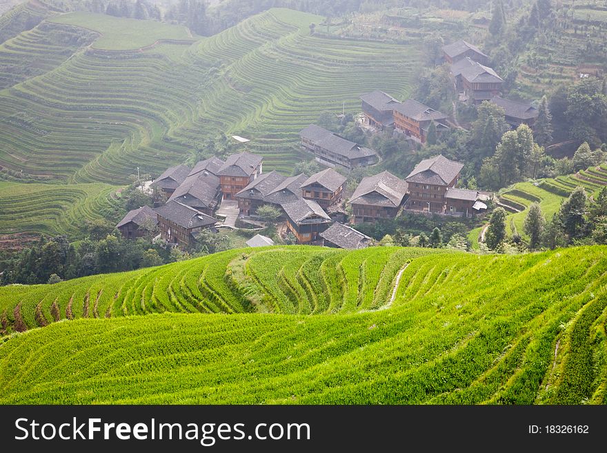 People of Yao nationality living at the terraces, they build houses at the valley of the mountain, Longsheng Terraces, Guiling, China. People of Yao nationality living at the terraces, they build houses at the valley of the mountain, Longsheng Terraces, Guiling, China.