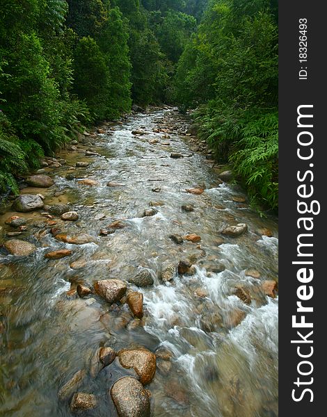 A clear flowing river in the forests of Malaysia. A clear flowing river in the forests of Malaysia.