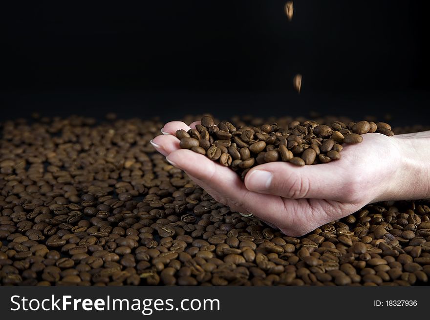 Female hand catching coffee beans. Female hand catching coffee beans