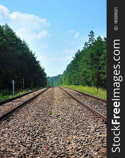 Two railroad tracks among forest