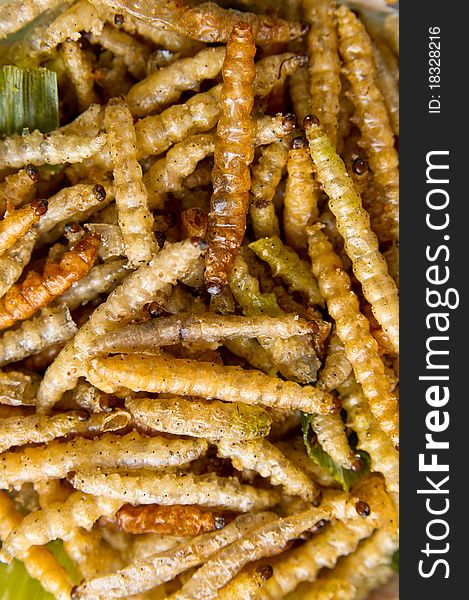 Fried bamboo larvae - national snack in Thailand. Fried bamboo larvae - national snack in Thailand