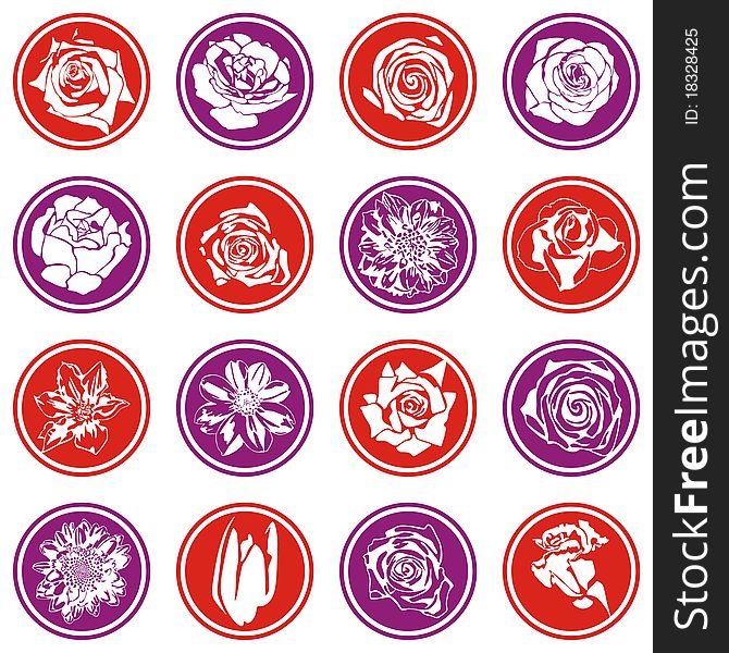 Vector floral icons on white background. Vector illustration. Vector floral icons on white background. Vector illustration