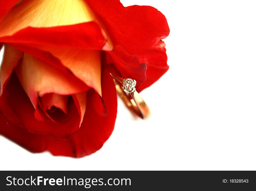 Close-up Isolated Red Rose And Diamond Ring