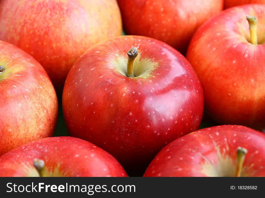 Close-up row of ripe red apples