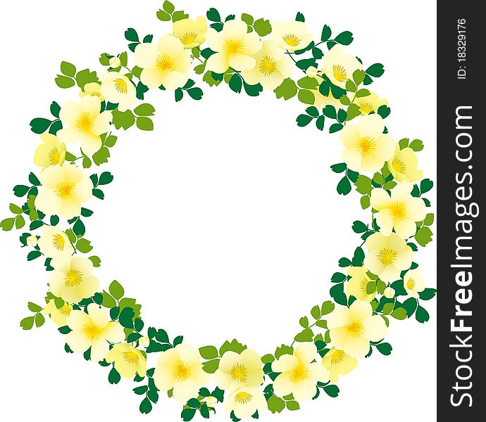 Drawing of Yellow peony wreath background. Drawing of Yellow peony wreath background