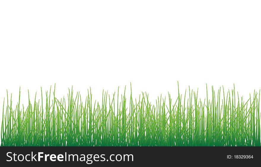 Grass on white background vector format. Grass on white background vector format.