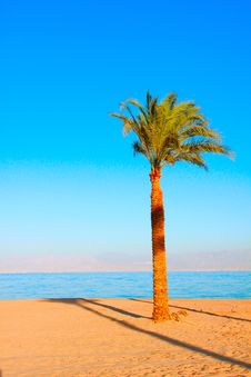 Tropical Beach Dream Royalty Free Stock Image Tropical Beach Dream Royalty Free Stock Image