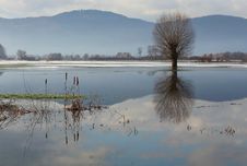 Winter Morning Royalty Free Stock Photography Winter Morning Royalty Free Stock Photography