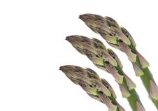 Fresh Asparagus Detail Stock Photography Fresh Asparagus Detail Stock Photography