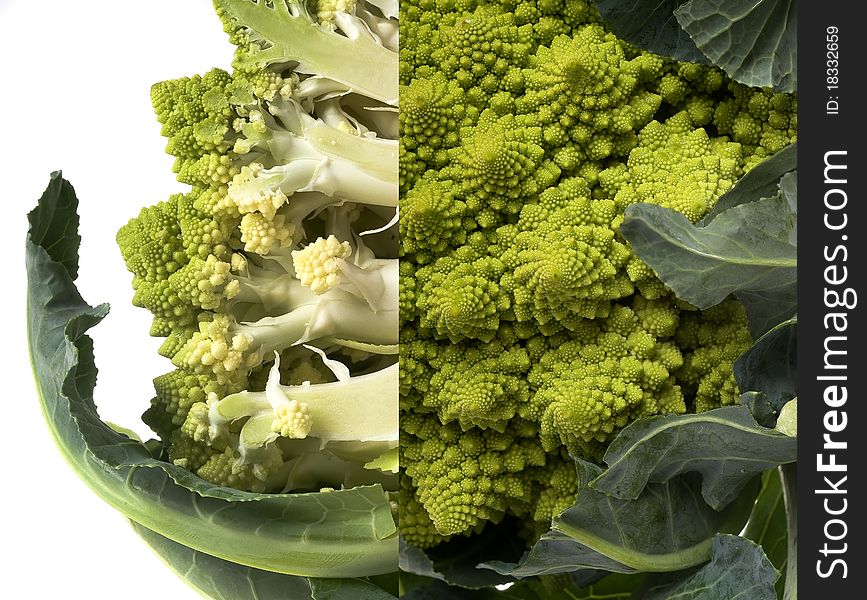 Green cabbage macro compositionon white background