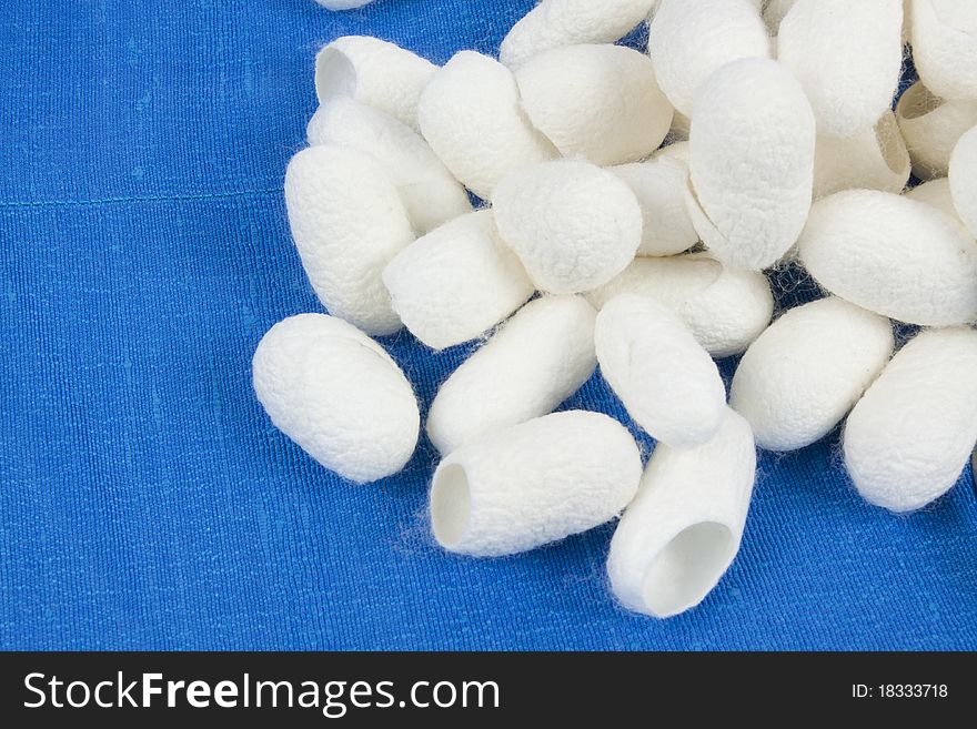 A pile of silkworm cocoons on the blue silk fabric.