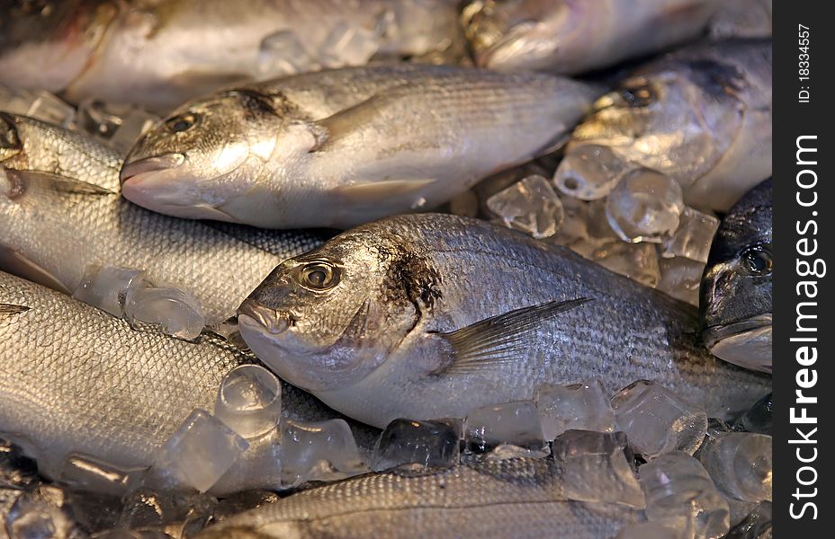 Fresh sea fish put on ice in a market show-window. Fresh sea fish put on ice in a market show-window