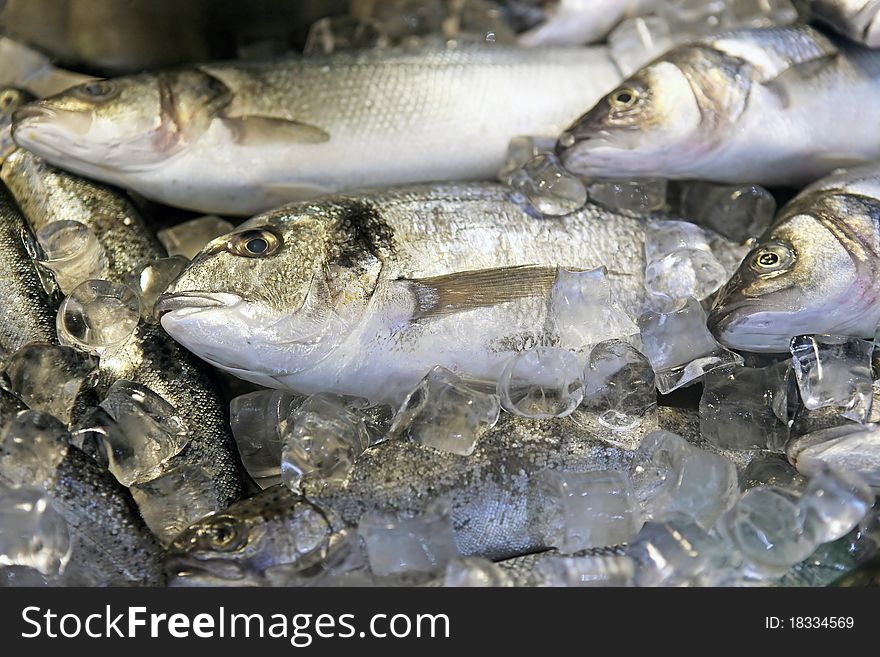 Fresh sea fish put on ice in a market show-window. Fresh sea fish put on ice in a market show-window