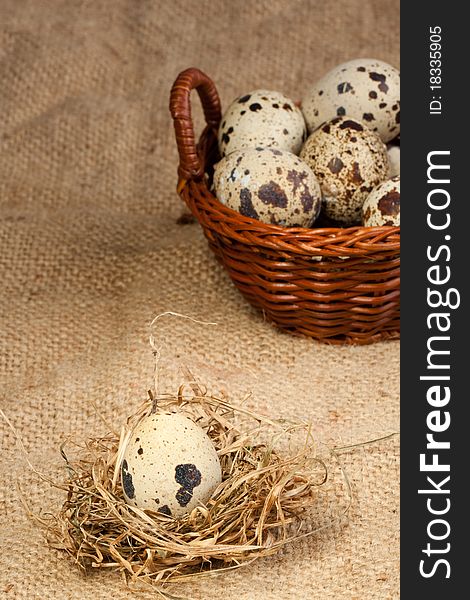 Quail egg in nest and basket with eggs on sacking