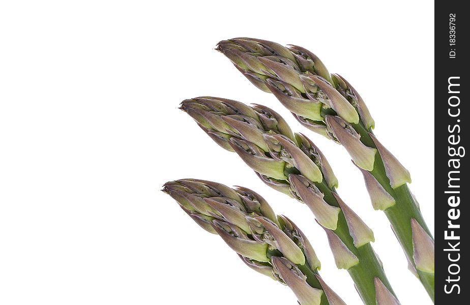 Fresh Asparagus Detail Pair of Stalks Isolated on White with a Clipping Path.