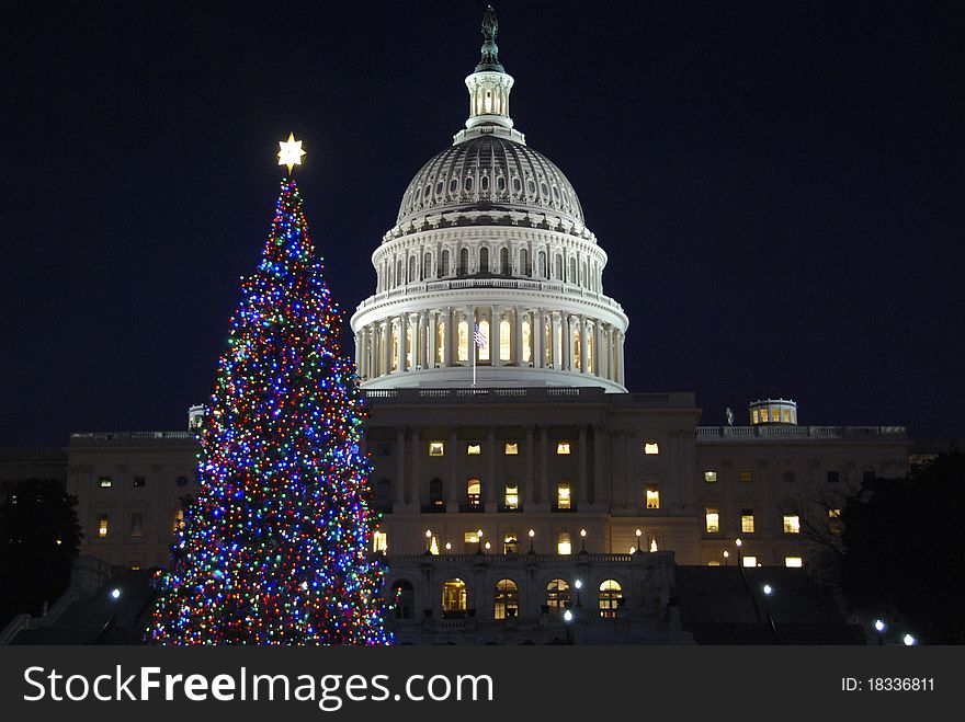 The Christmas tree at the Capitol in Washington D.C. The Christmas tree at the Capitol in Washington D.C