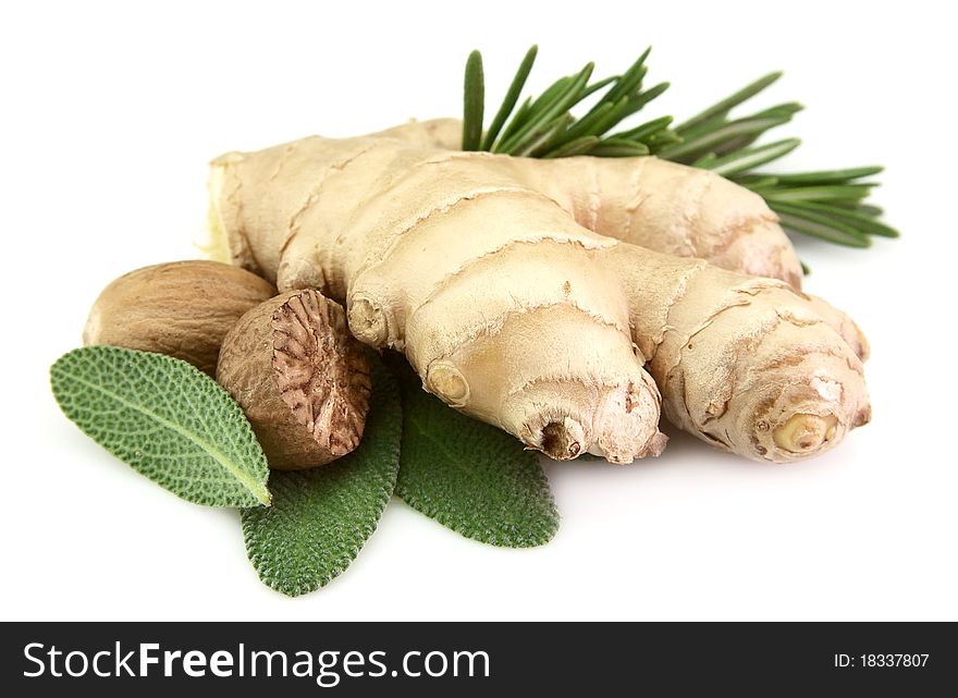 Spices. Ginger, a sage, rosemary and a nutmeg on a white background