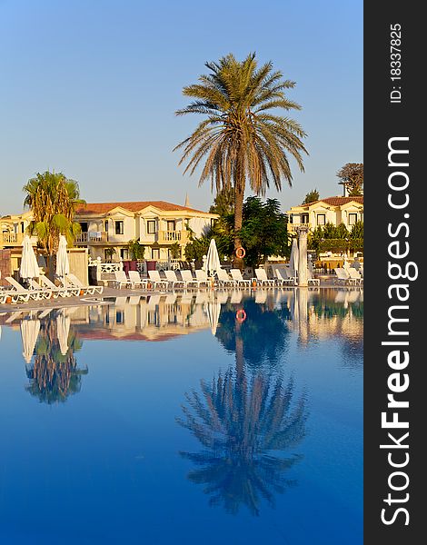 Palm Trees reflecting in the swimming pool