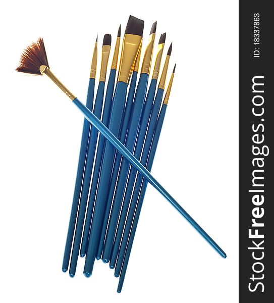 Variety of Blue Paintbrushes