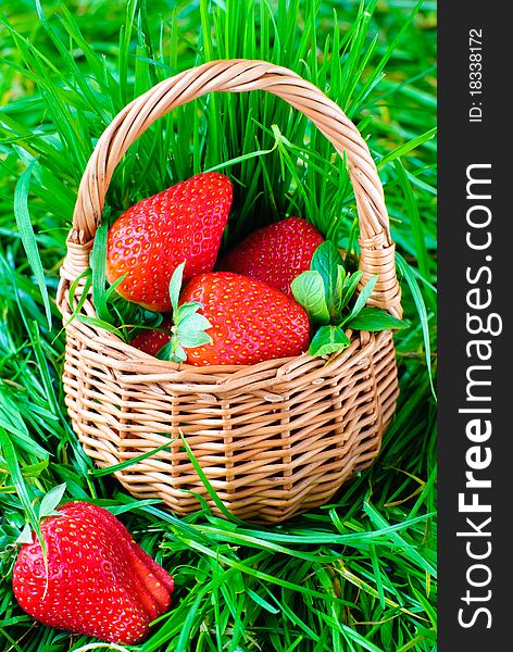 Fresh strawberries in a basket on a green grass